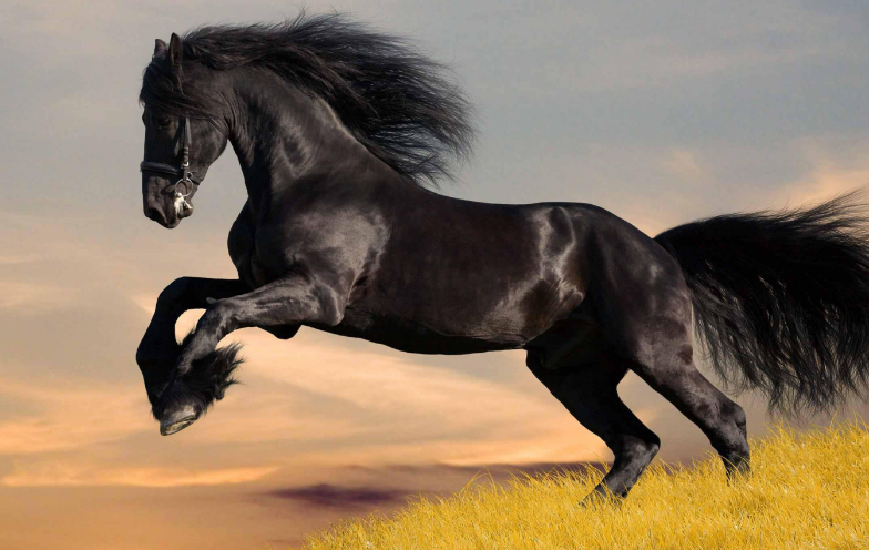 包含黑马崭露头角，豪门巨头震动的词条