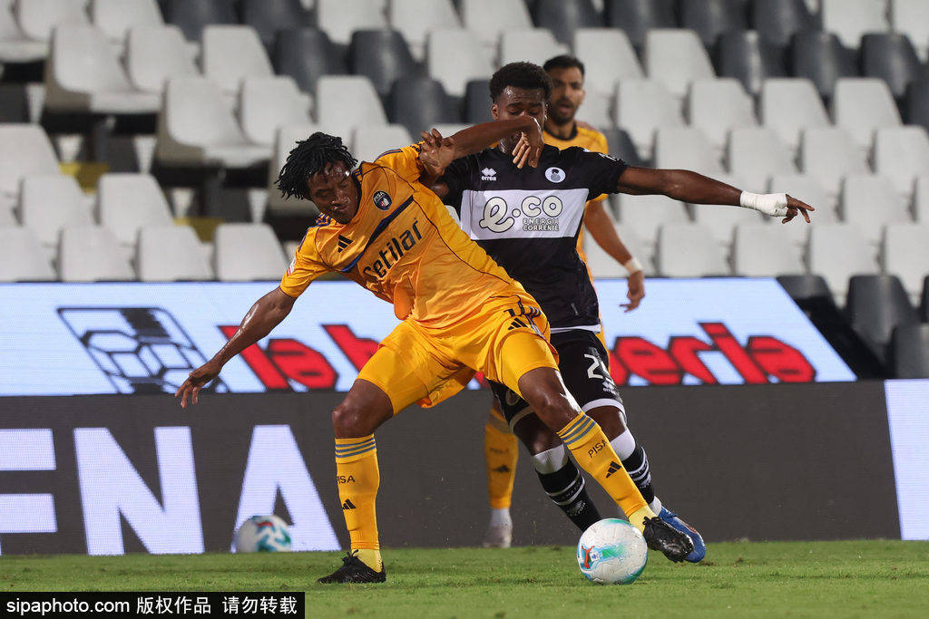 帕尔马主场惊险战胜桑普，壮烈夺冠的简单介绍