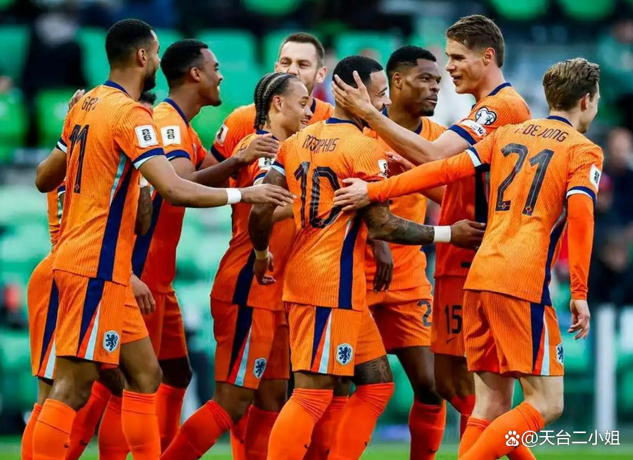 三亿体育体育投注-关于荷兰队面临难关，失去晋级八强机会的信息